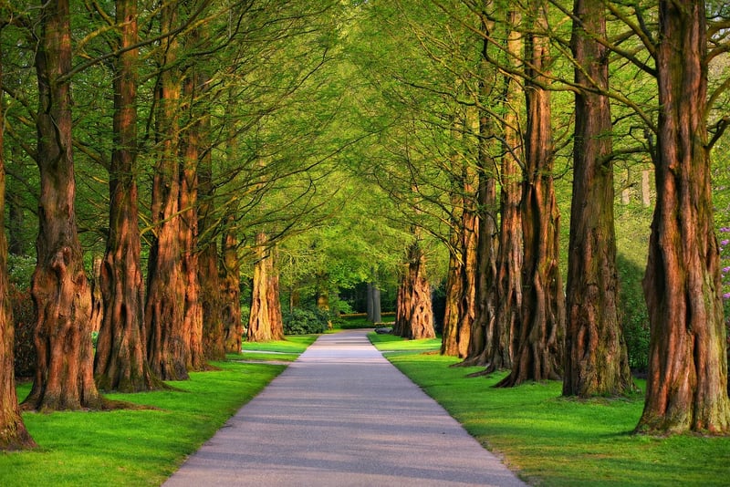 Path to Discovery