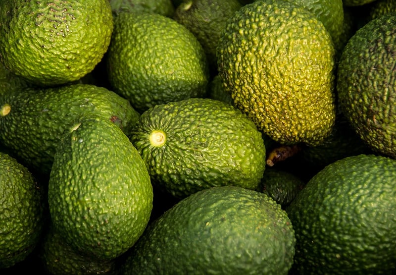 Nutritious Foods